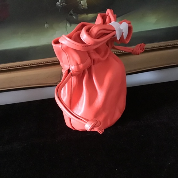 NWT J.Crew Mini Crossbody Pouch Bag Lamb Leather AUTUMN CORAL BE - Picture 5 of 7